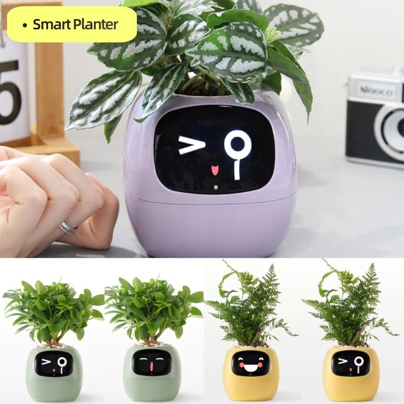 Smart Planter Endless Fun Over 49 Rich Expressions 7 Smart Sensors And AI Chips Make Raising Plants Easy And Fun - Can Work With Alexa - Desktop Pet , friend in lonely - Smart flower planter - It’s beautiful indeed